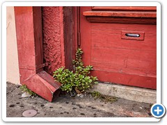 New-Orleans-Red-Door